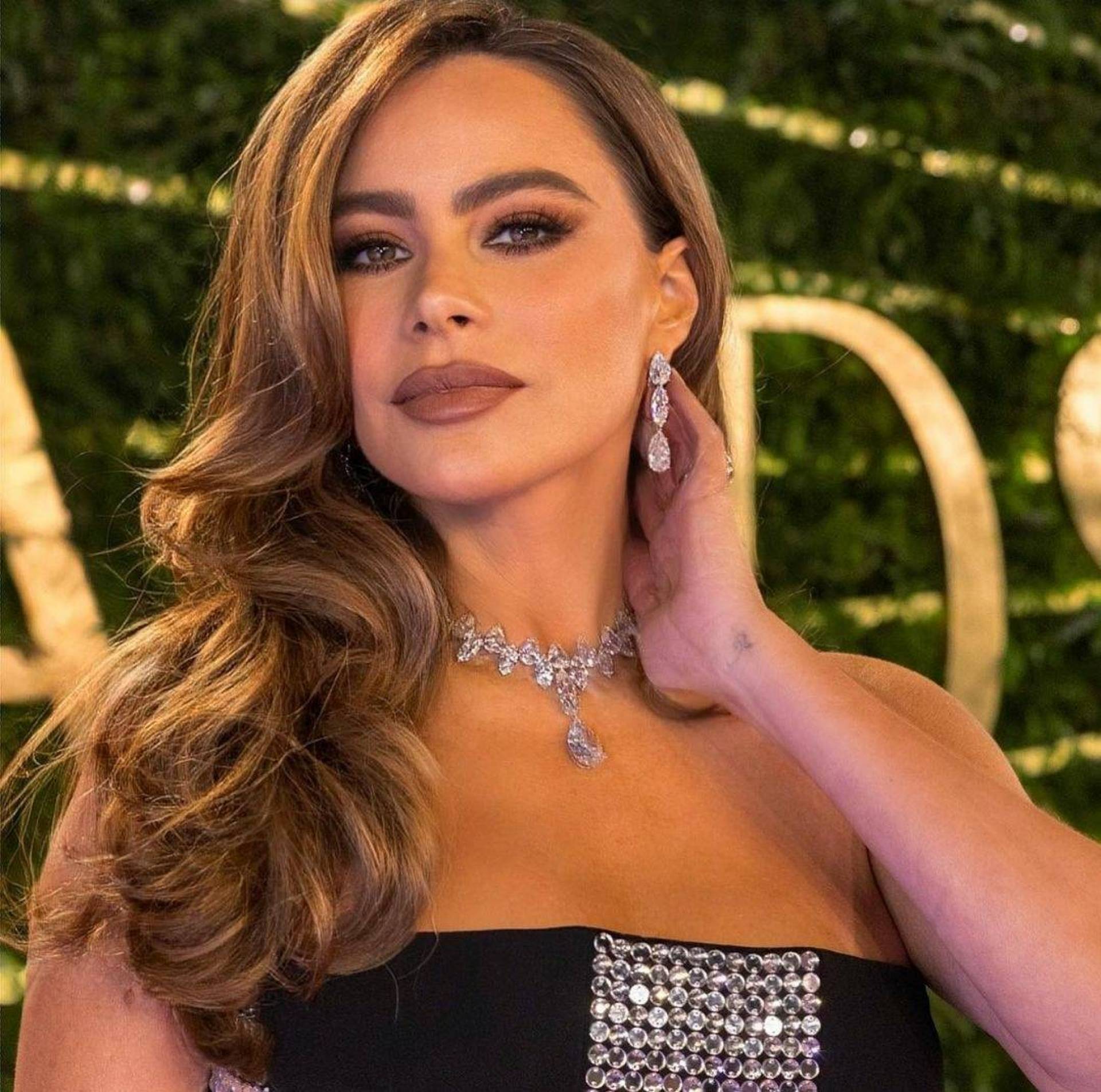 صوفيا فيرغارا
